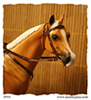 Barcoo bridle for model horses made by Jana Skybova